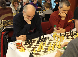 ChessOrg Bild